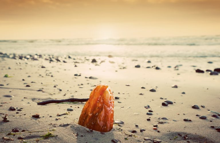 Amber stone on the beach. Precious gem, treasure concept. Baltic Sea, Poland.